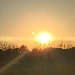 Meet your Posher, Bailee